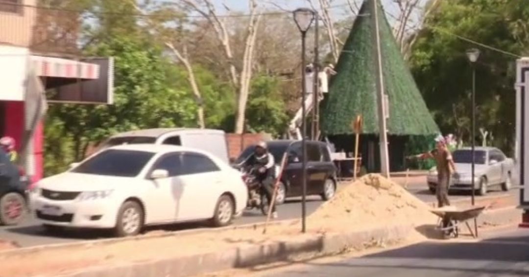 Denuncian tala masiva de tajy en Villa Elisa - C9N