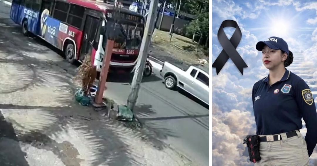 Suboficial muere en accidente en Villa Elisa - C9N