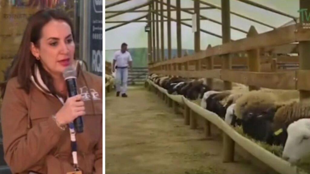 Johanna Bottrell es la presidenta de la Comisión Central de Exposiciones de la Asociación Rural del Paraguay (ARP).